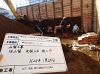 H28.1.20山留工事_R.JPG
