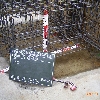 RIMG0125.JPG